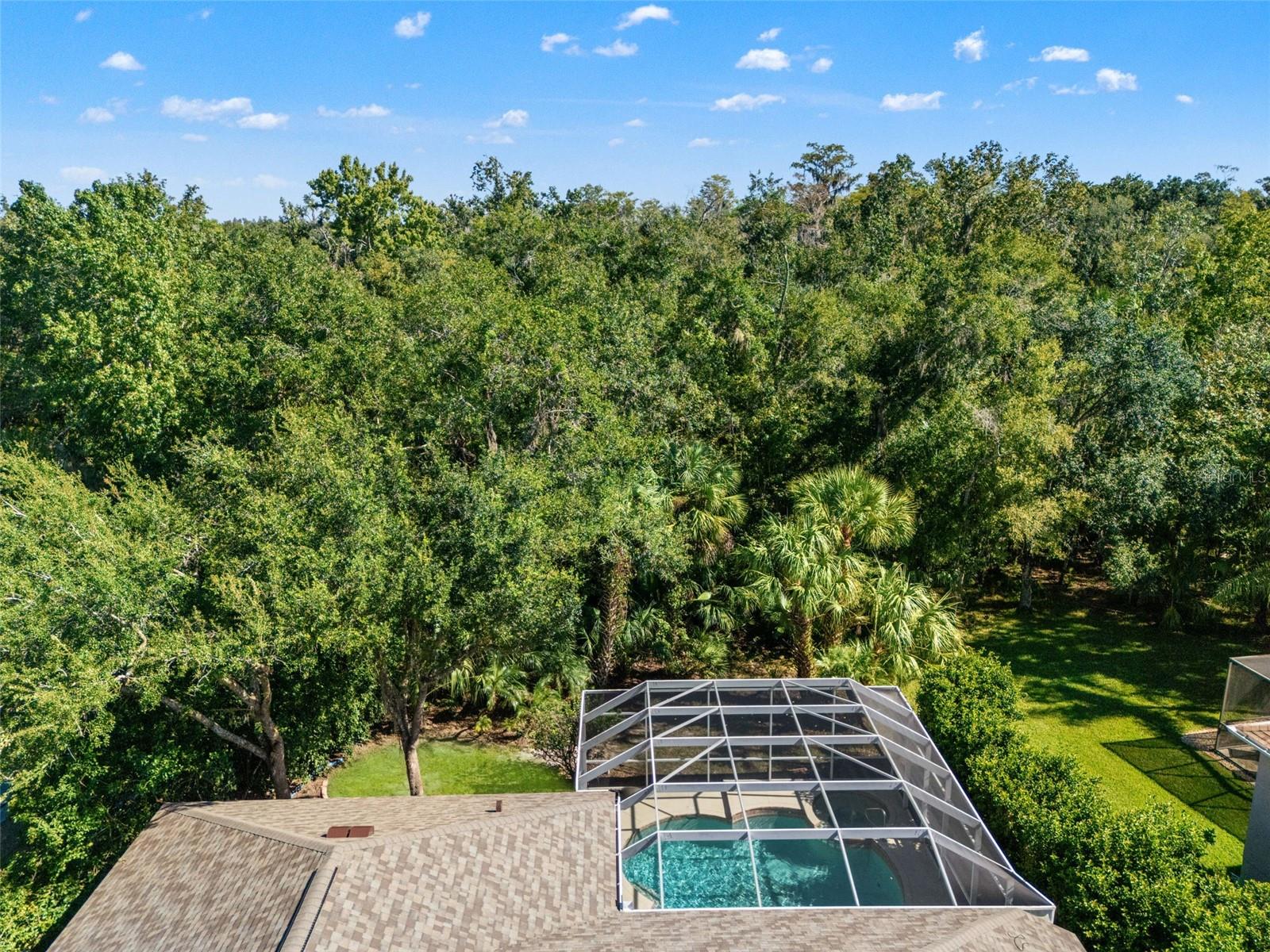 17353 EMERALD CHASE DR — photo 57