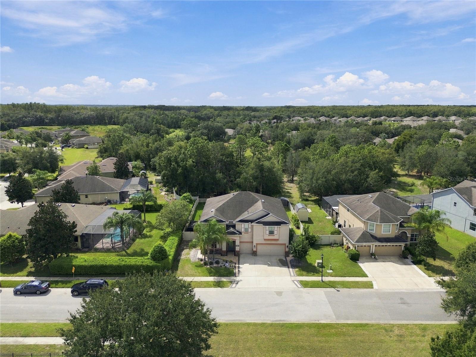 13856 CREST LAKE DR — photo 76