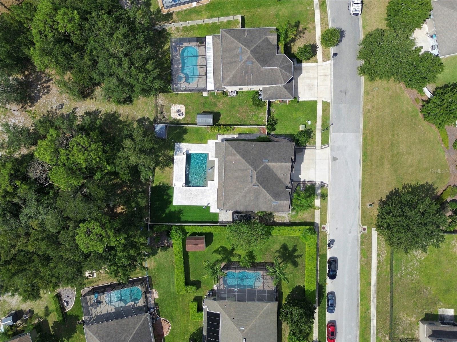 13856 CREST LAKE DR — photo 5