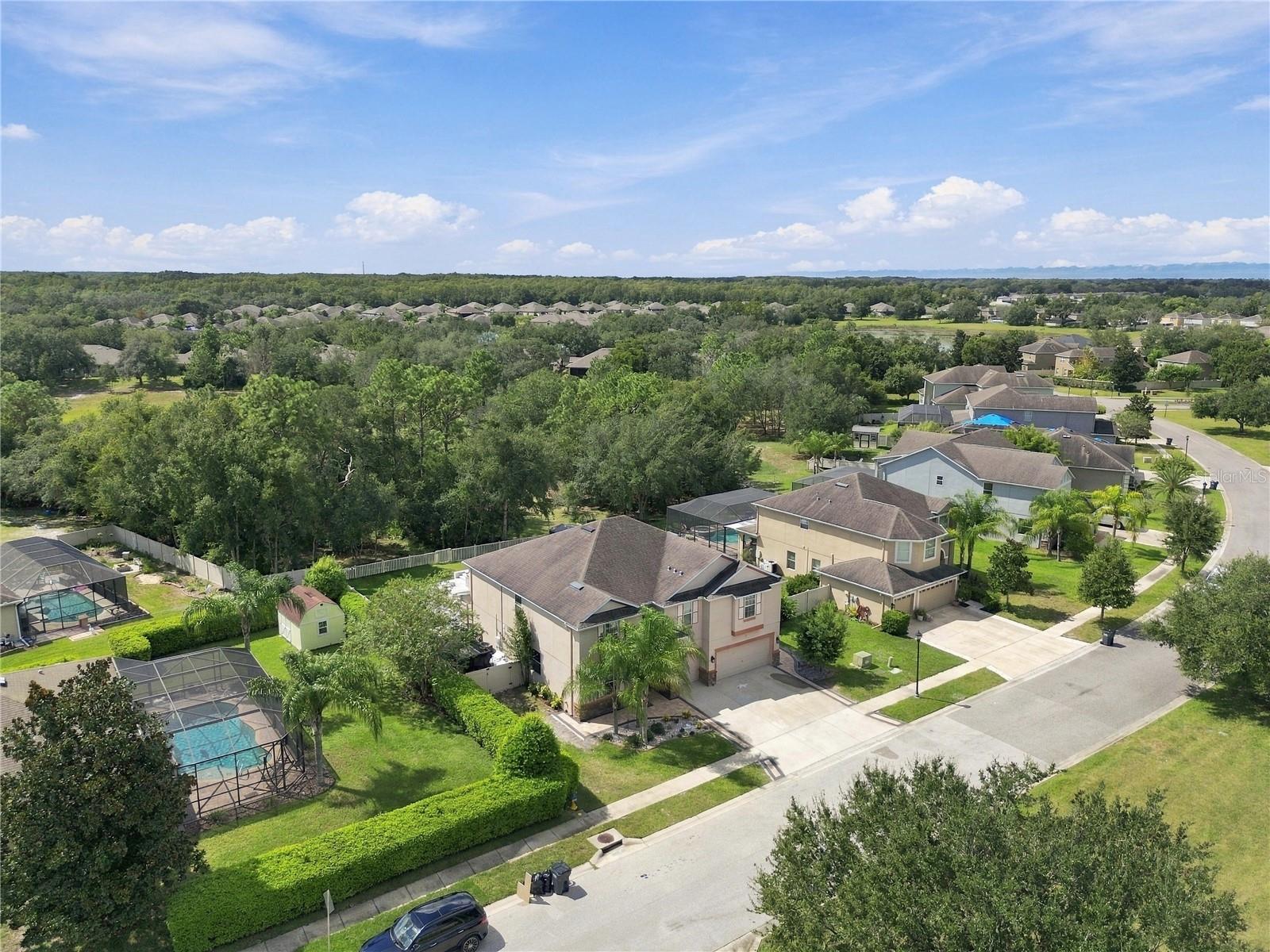 13856 CREST LAKE DR — photo 77