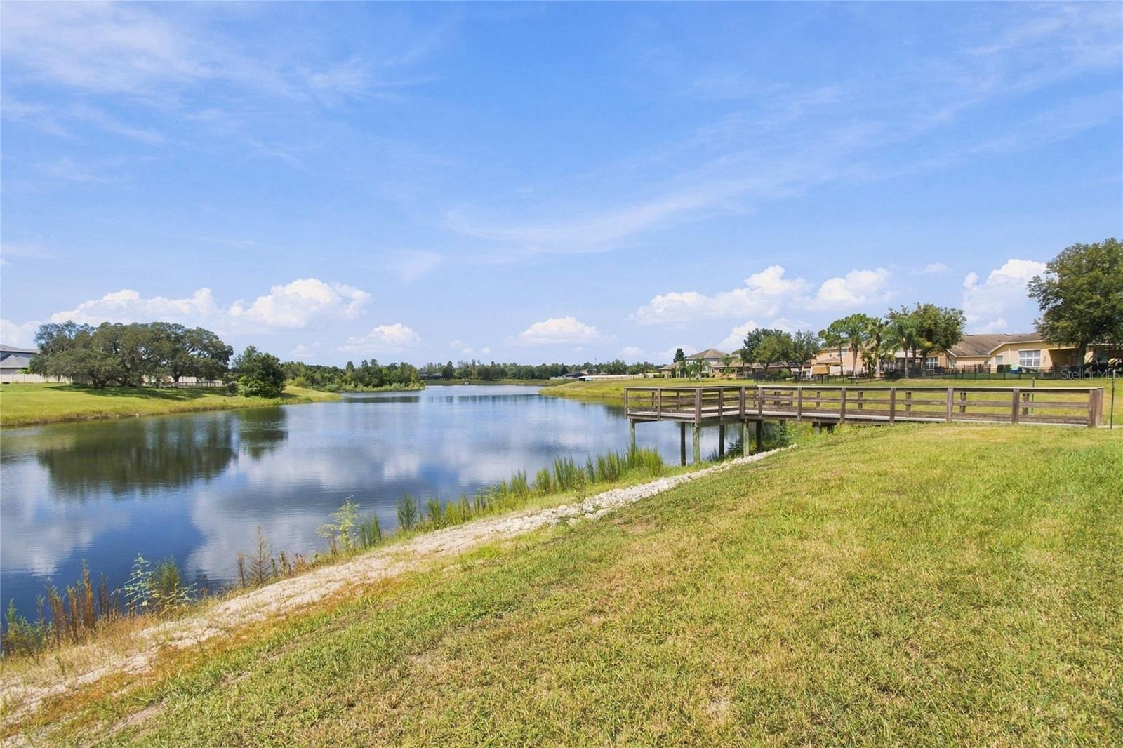 13856 CREST LAKE DR — photo 62