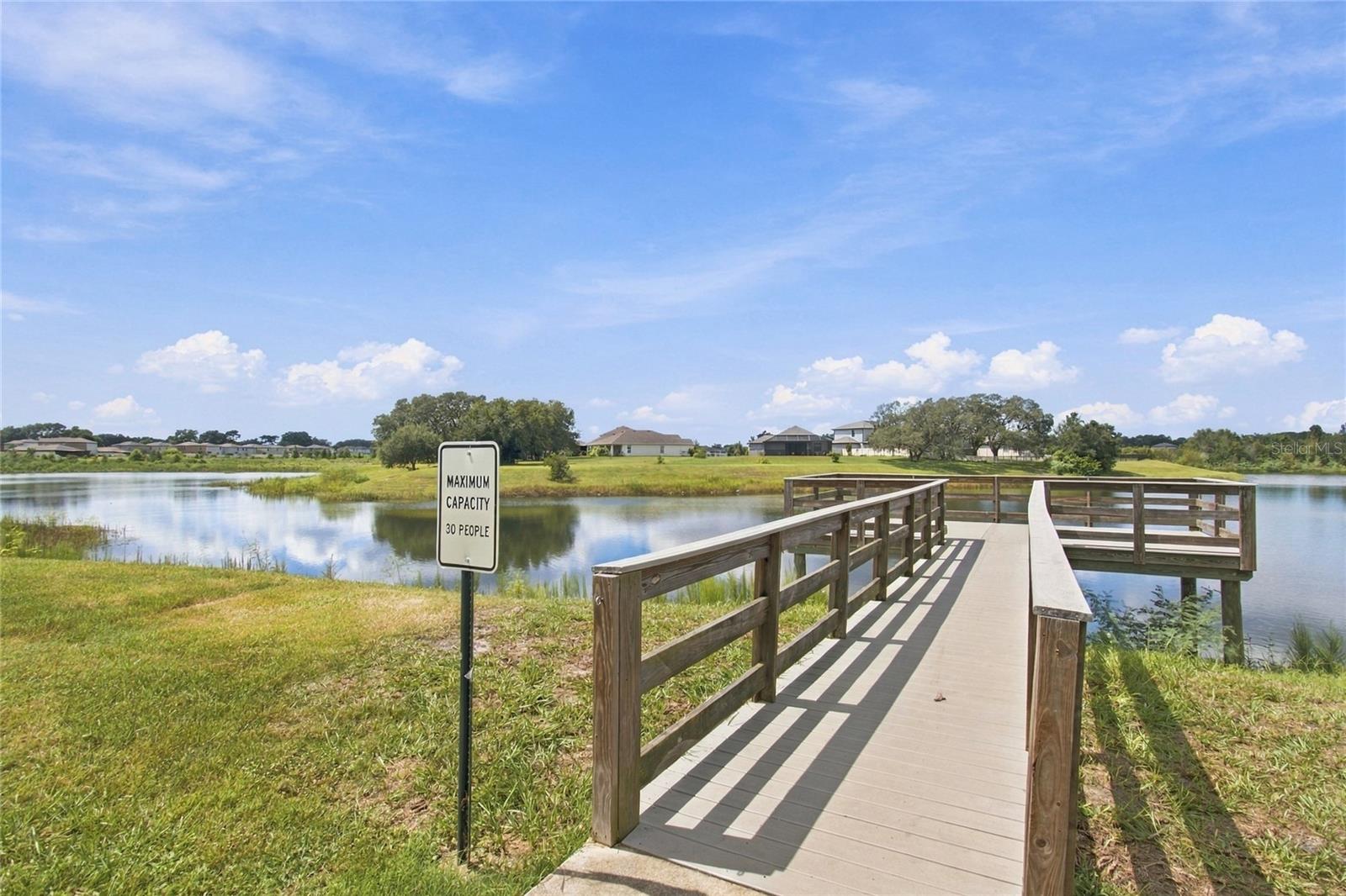 13856 CREST LAKE DR — photo 57