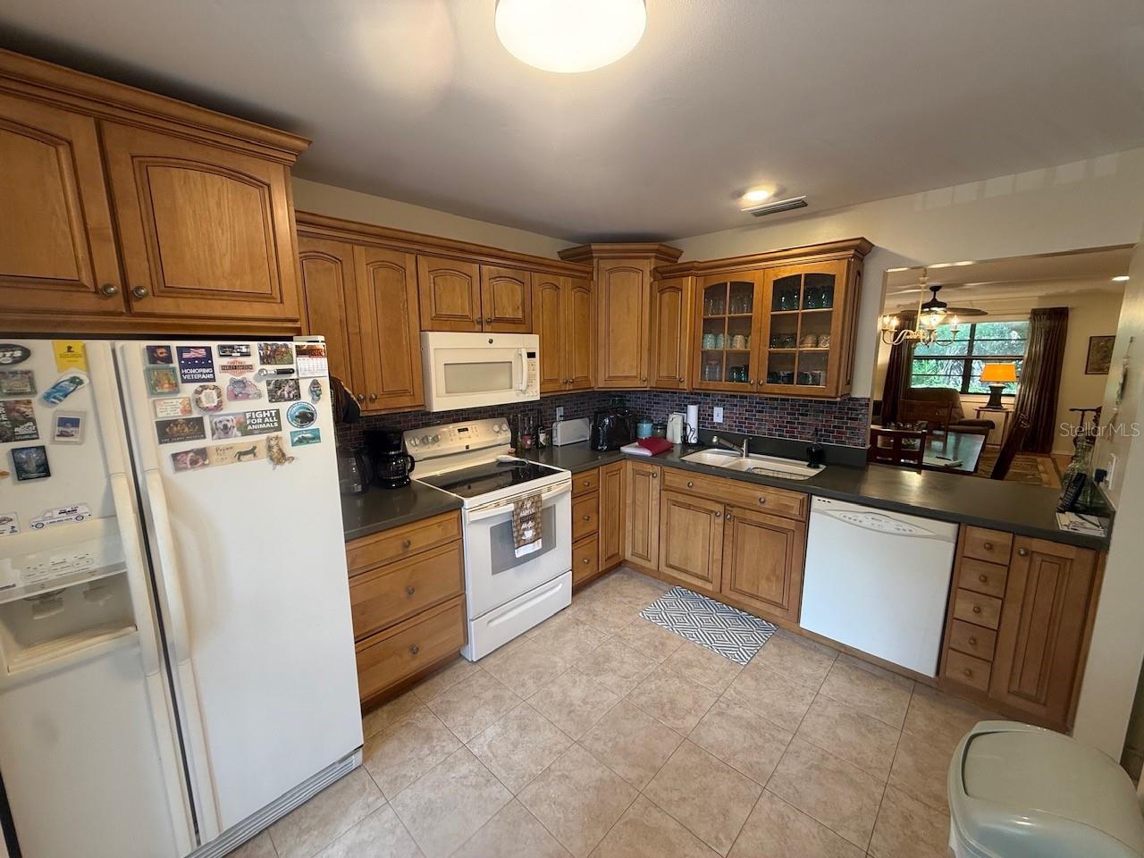 4031 BLUFF OAK CT — photo 9