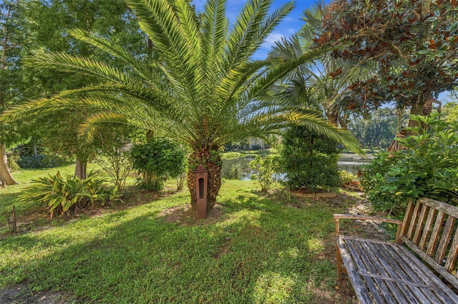 9234 STONE RIVER PL — photo 43