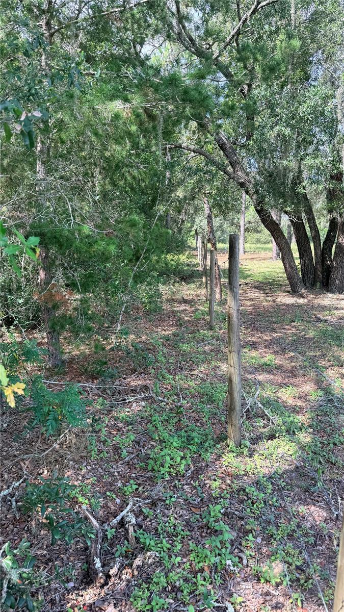 BOWMAN RD — photo 3