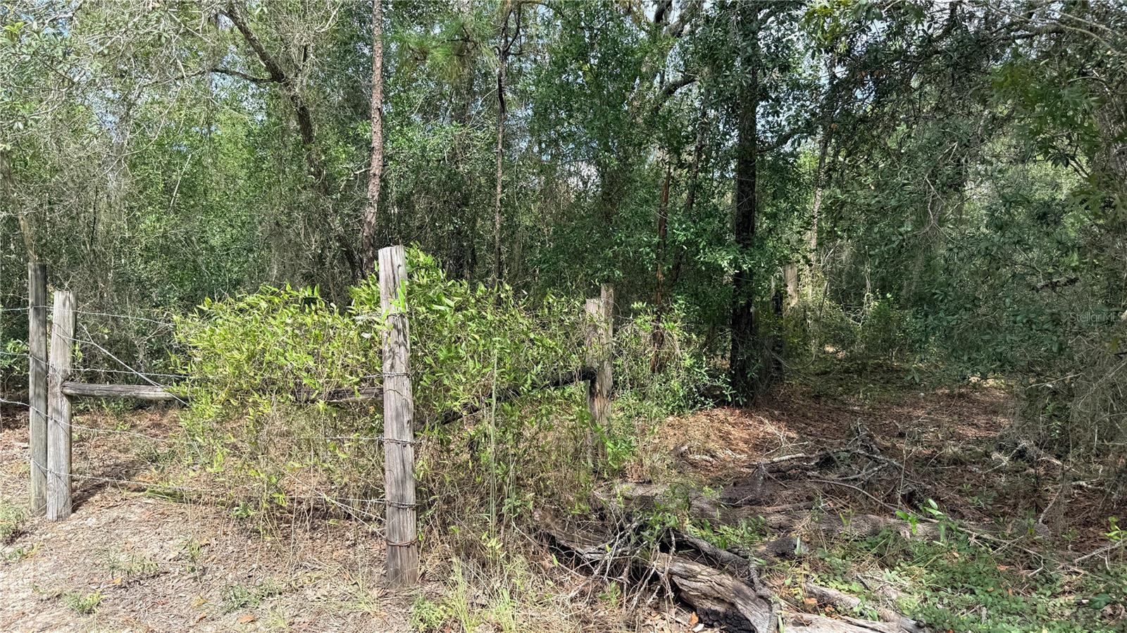 BOWMAN RD — photo 9