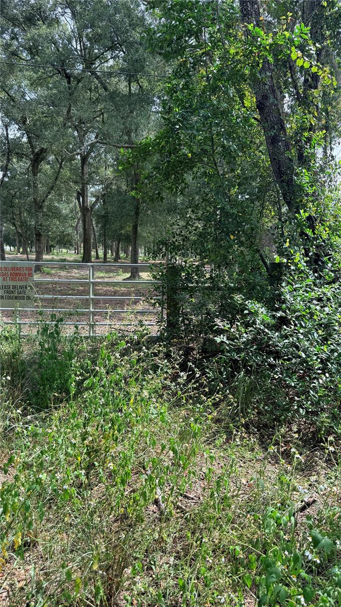 BOWMAN RD — photo 7