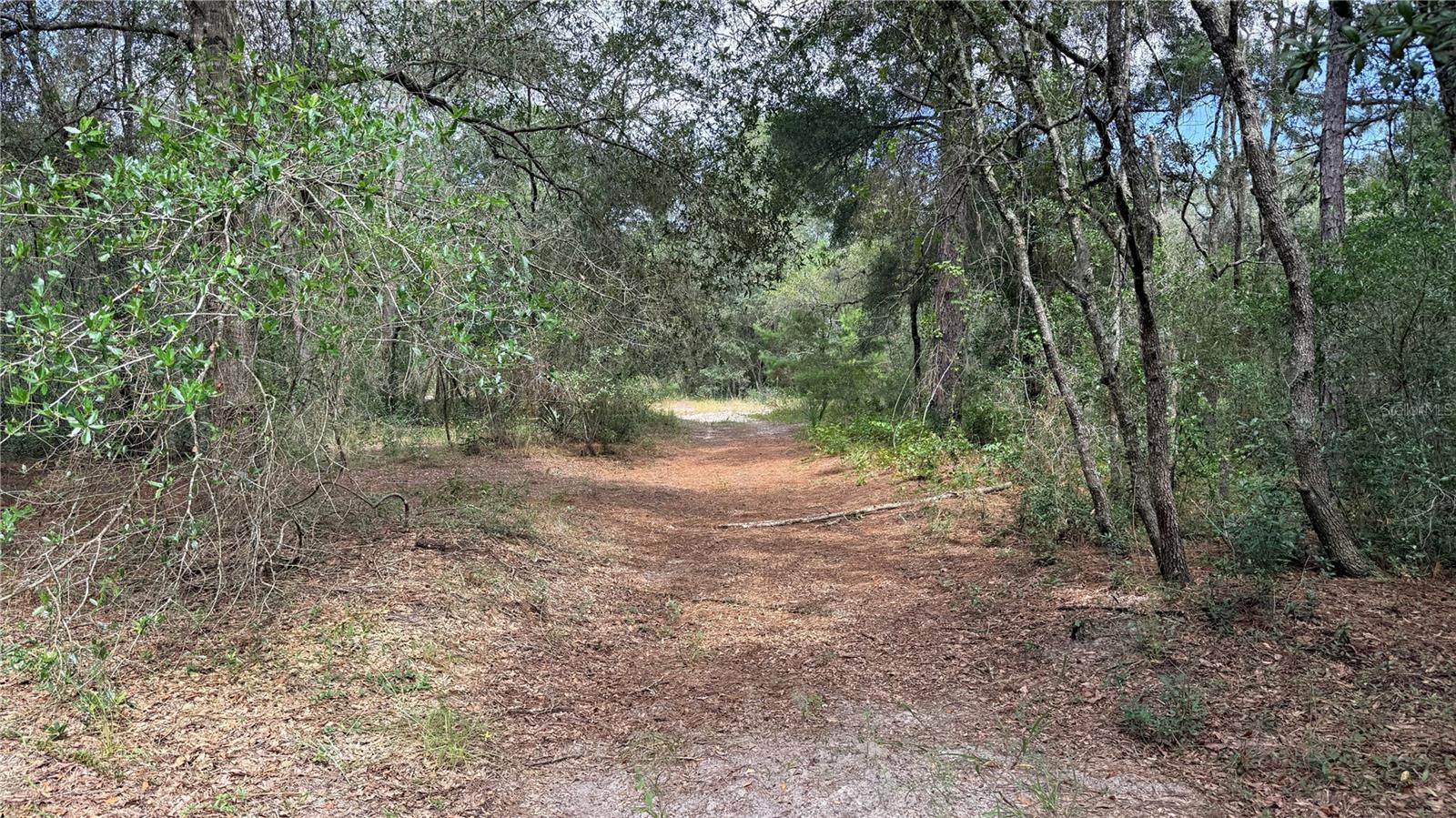 BOWMAN RD — photo 10