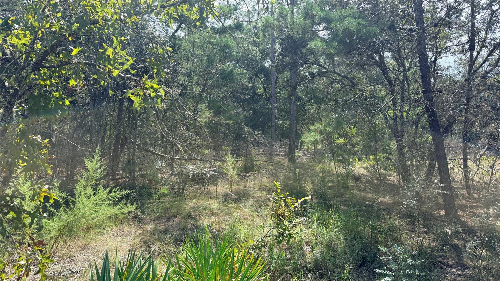 BOWMAN RD — photo 4