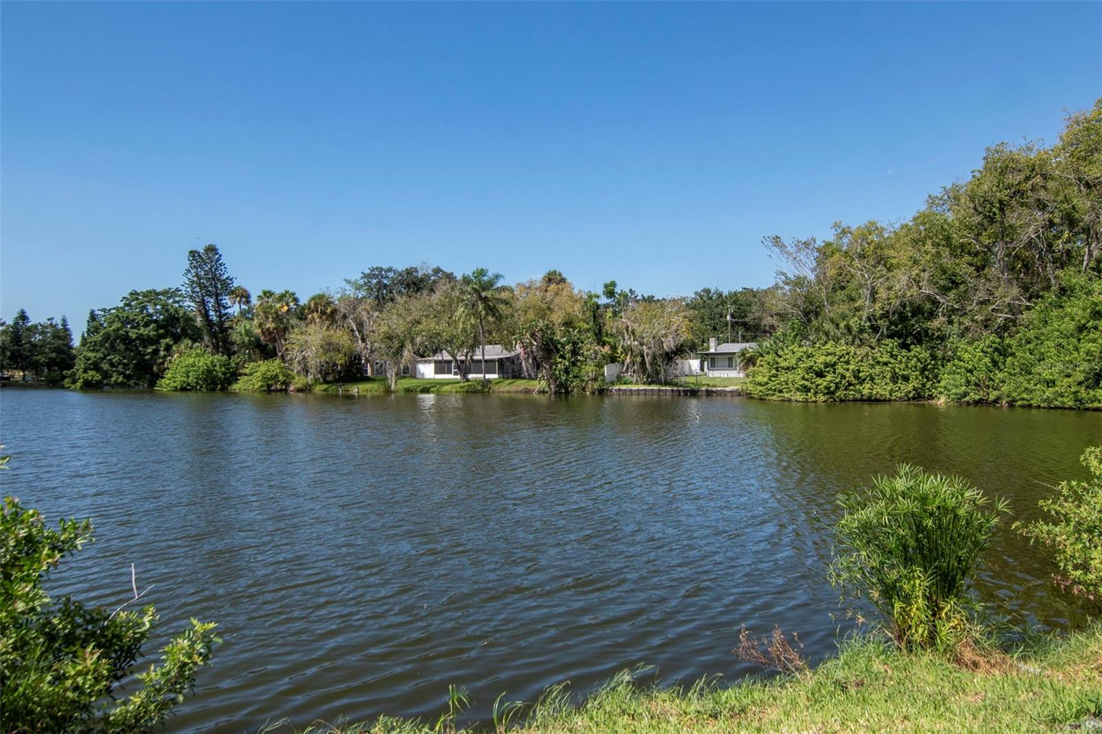 4539 NEEDLE PALM DR — photo 23