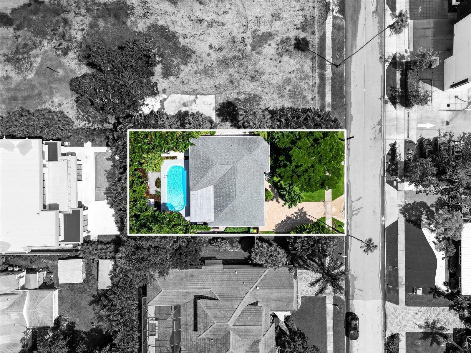 1965 HIBISCUS ST — photo 60
