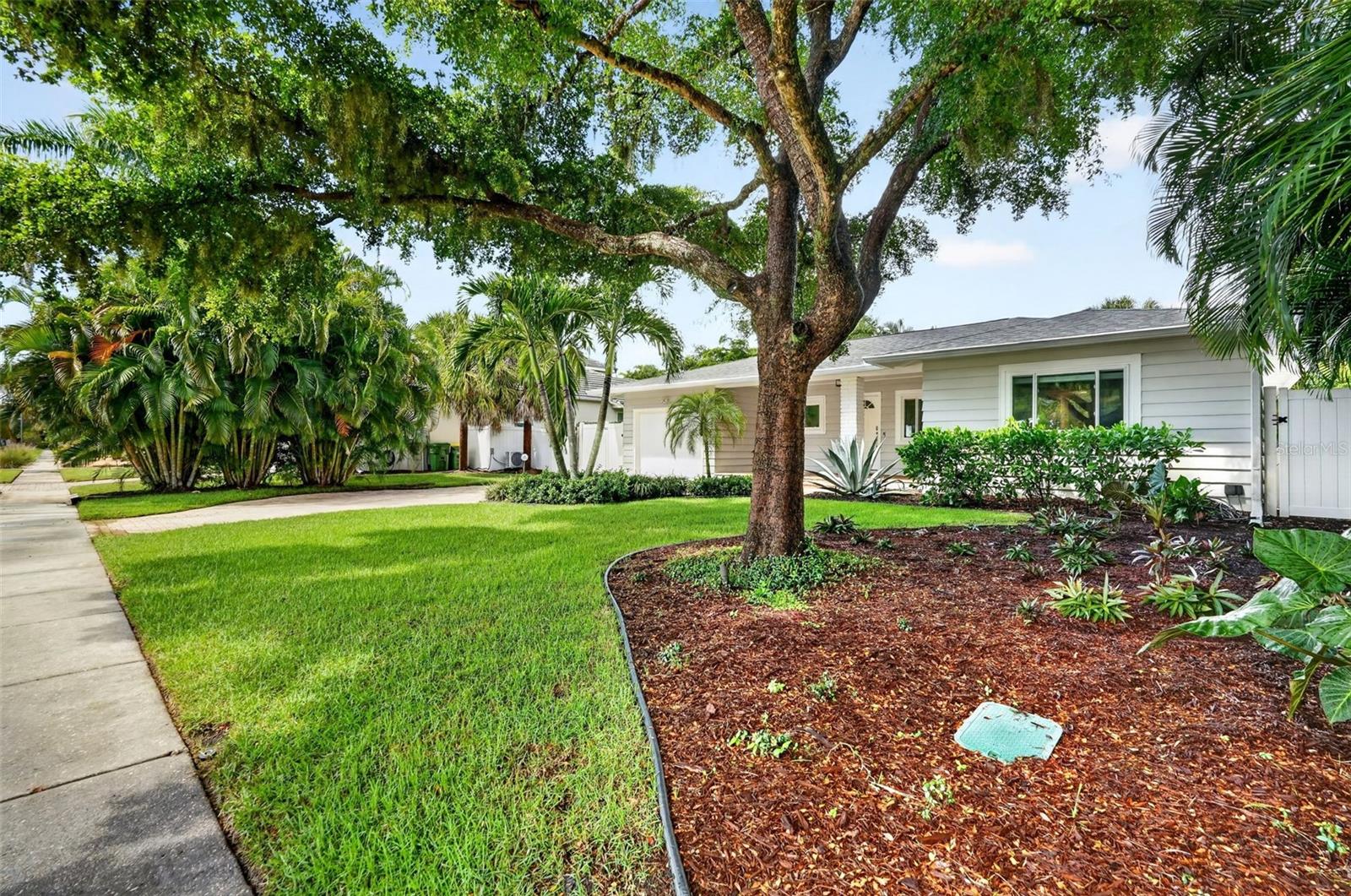 1965 HIBISCUS ST — photo 5