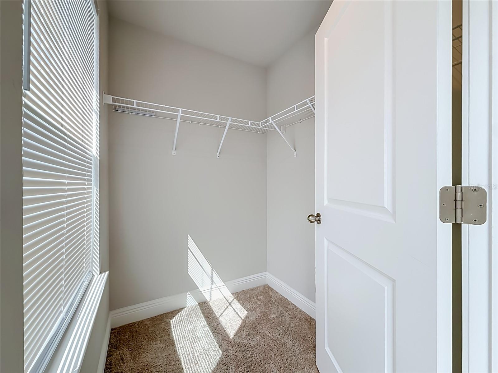 6076 GRAND SONATA AVE — photo 50