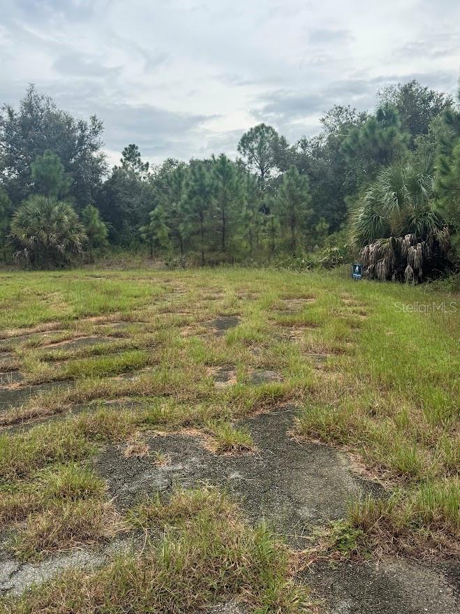 Lot 10 GOFF CT — photo 9
