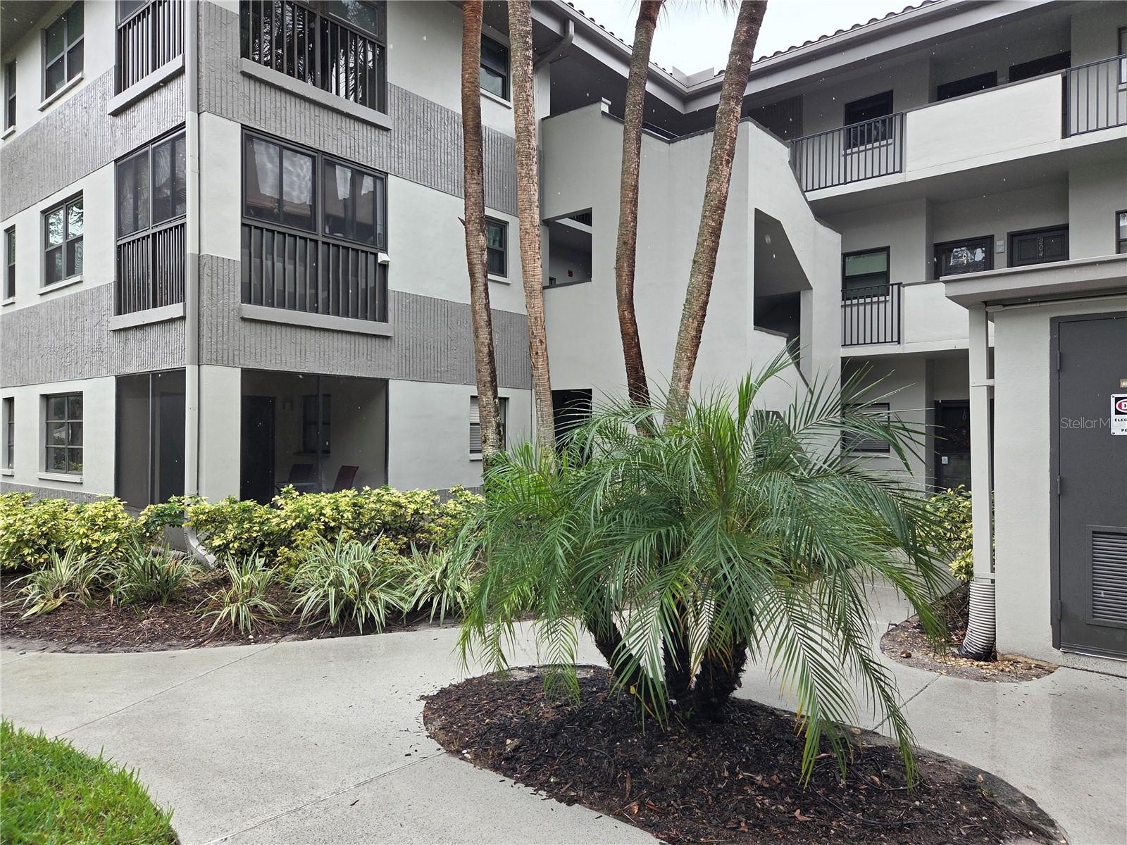 2650 COUNTRYSIDE BLVD #F202 — photo 2