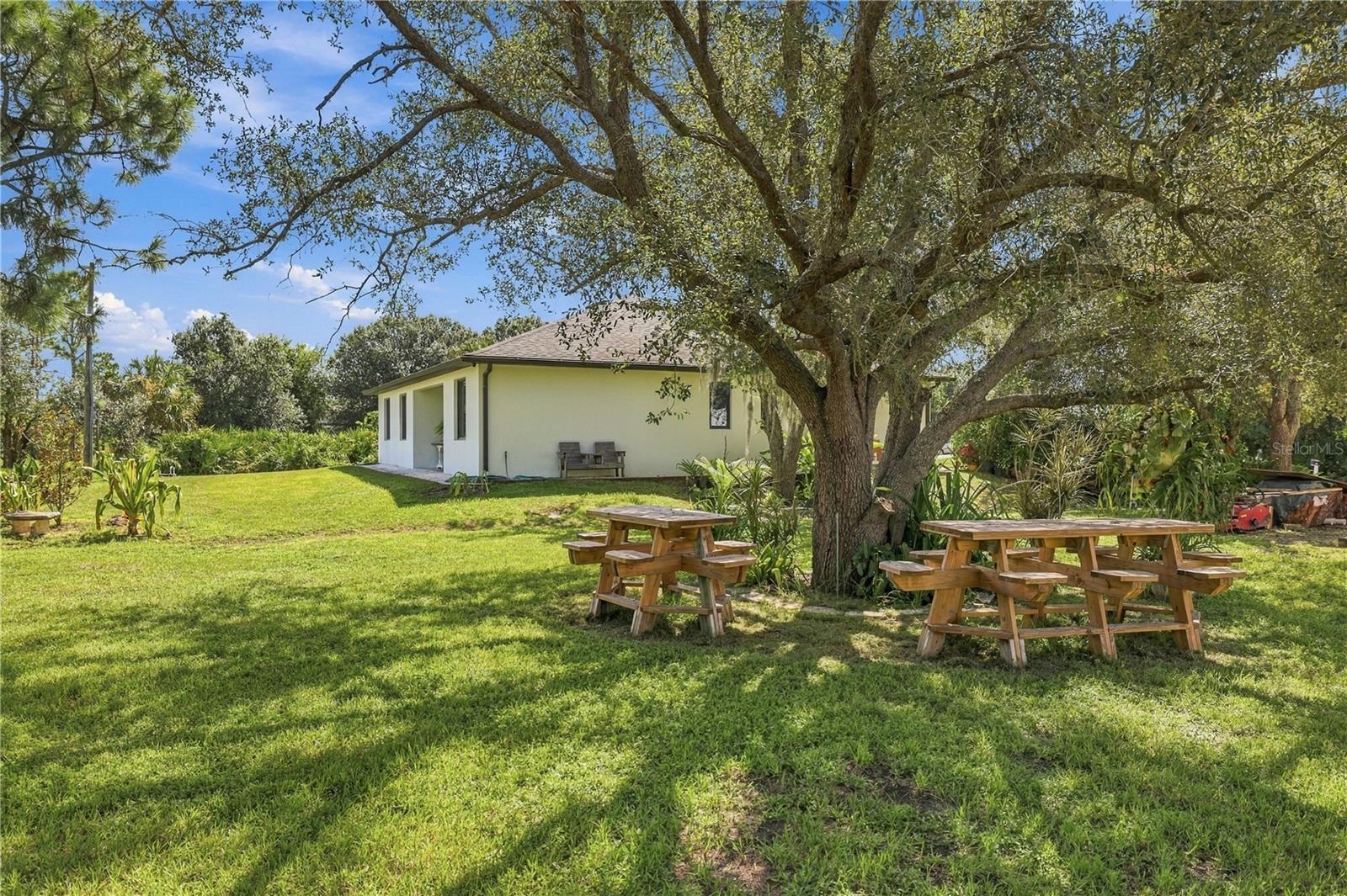 7382 PERENNIAL RD — photo 47
