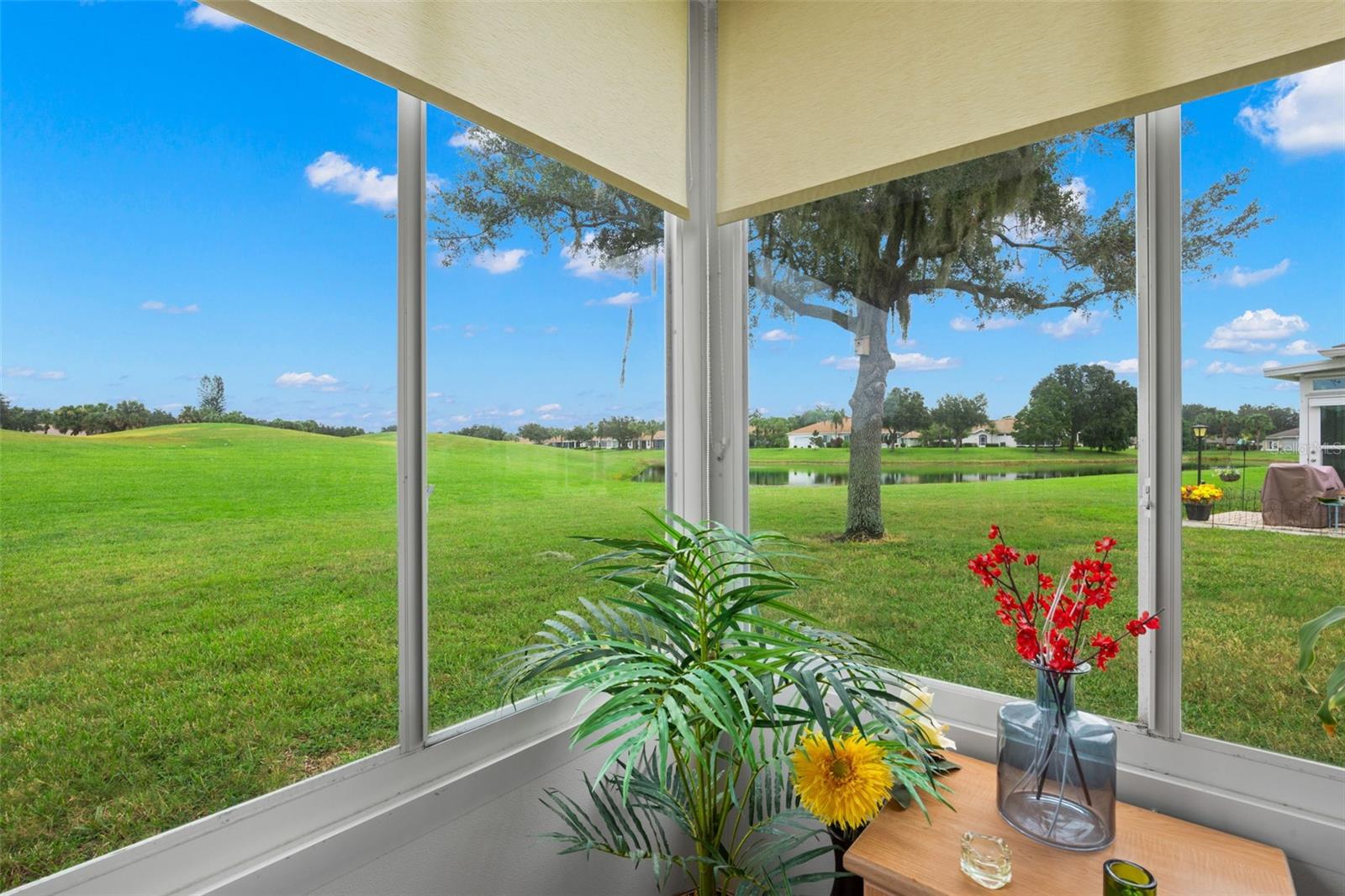 2057 INVERNESS GREENS DR — photo 11