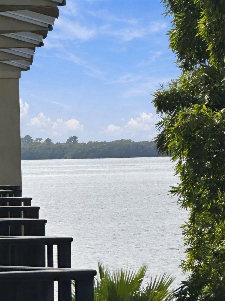 1420 BAYSHORE BLVD #409 — photo 79