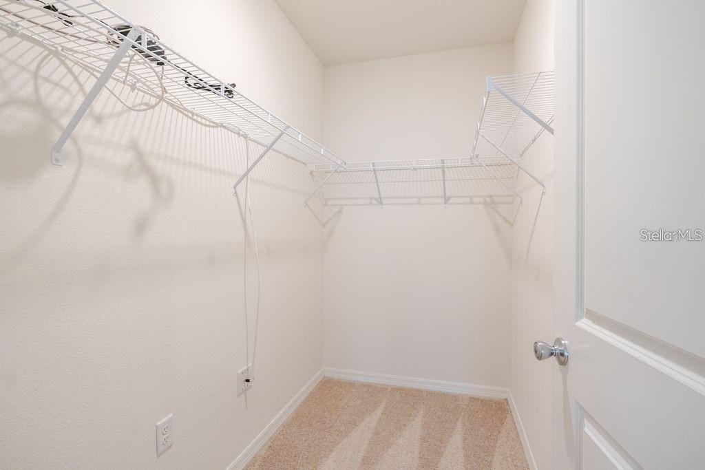 10945 TRAILING VINE DR — photo 19