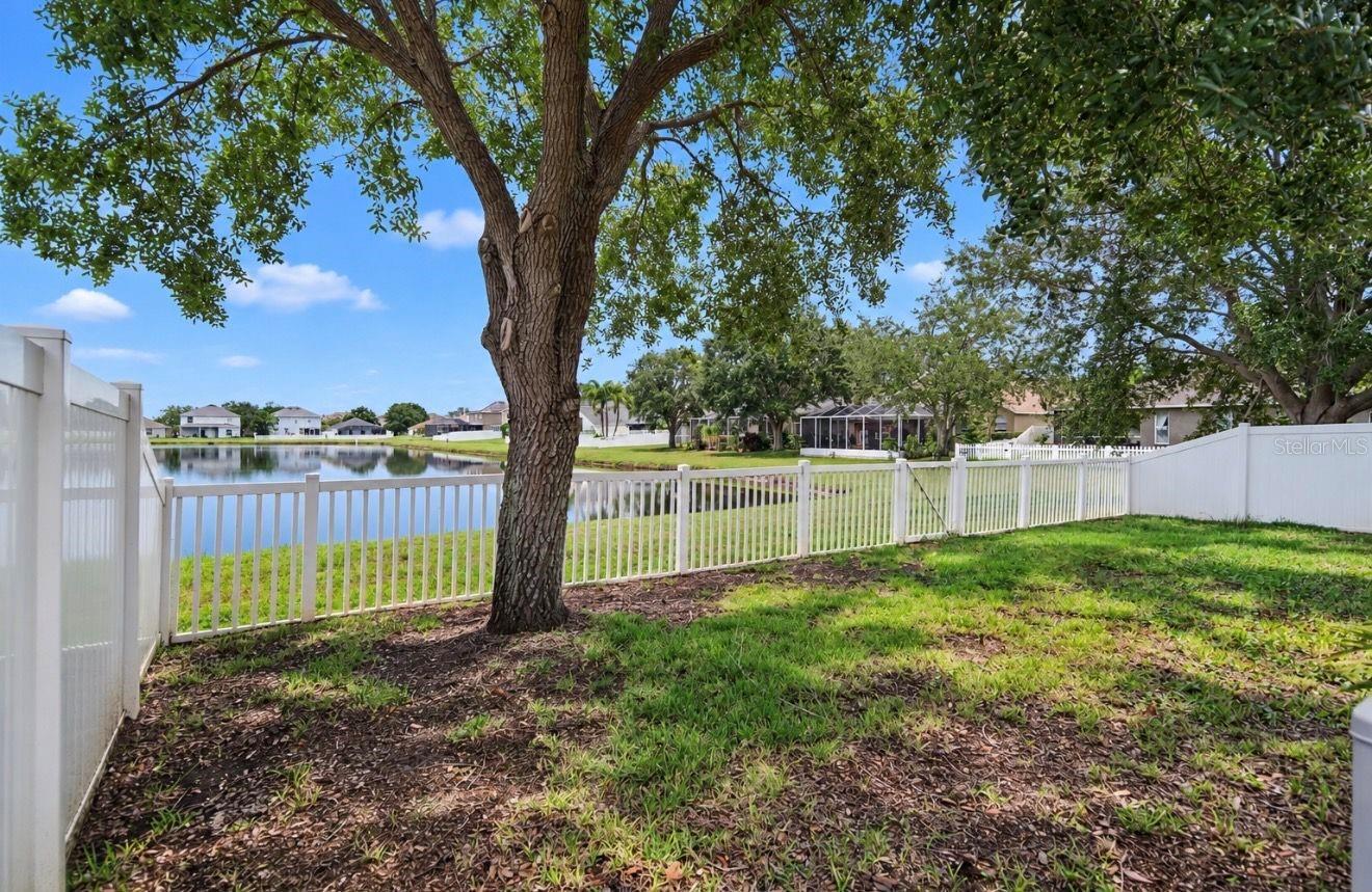 2348 ROANOKE SPRINGS DR — photo 31