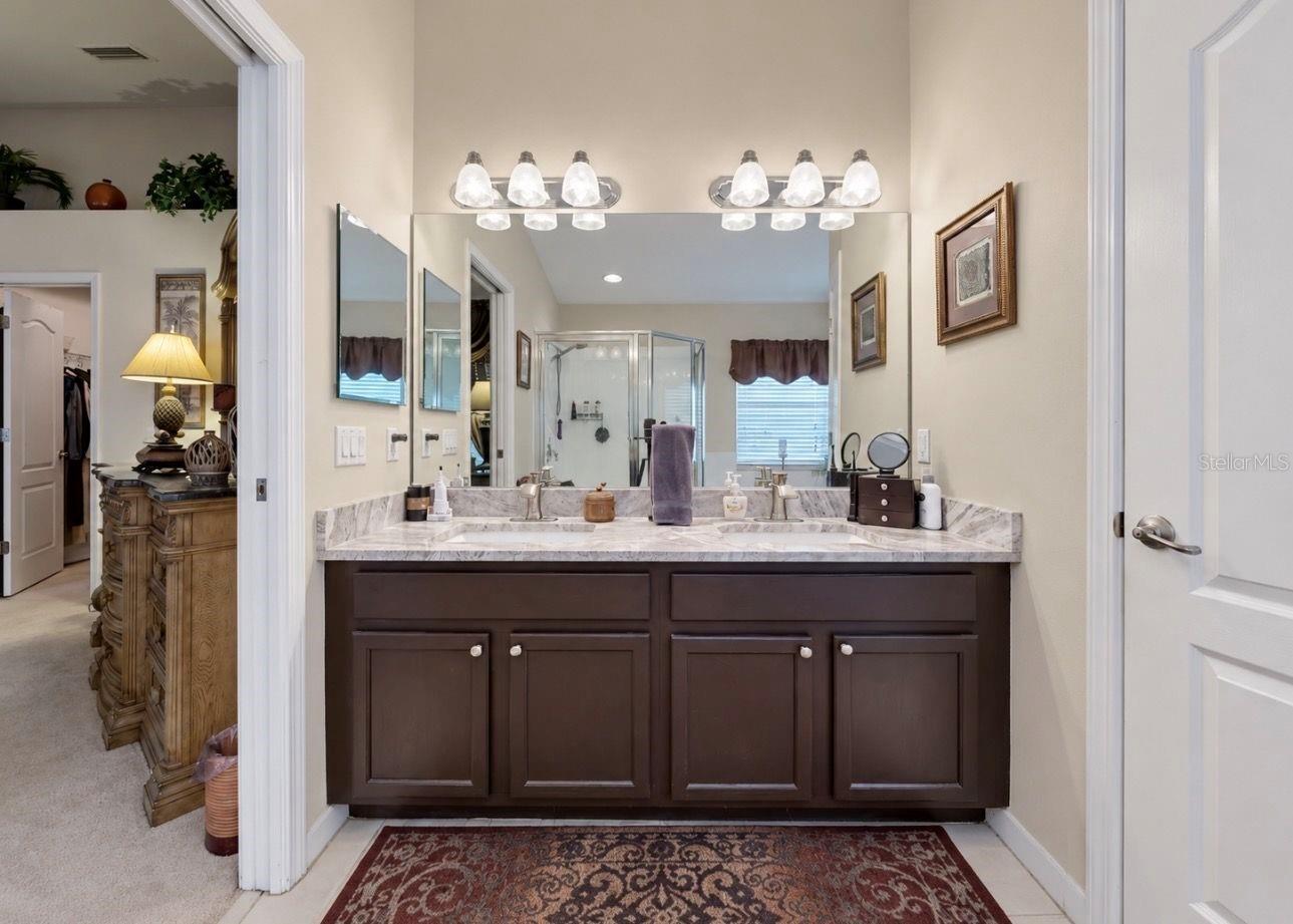 2348 ROANOKE SPRINGS DR — photo 20