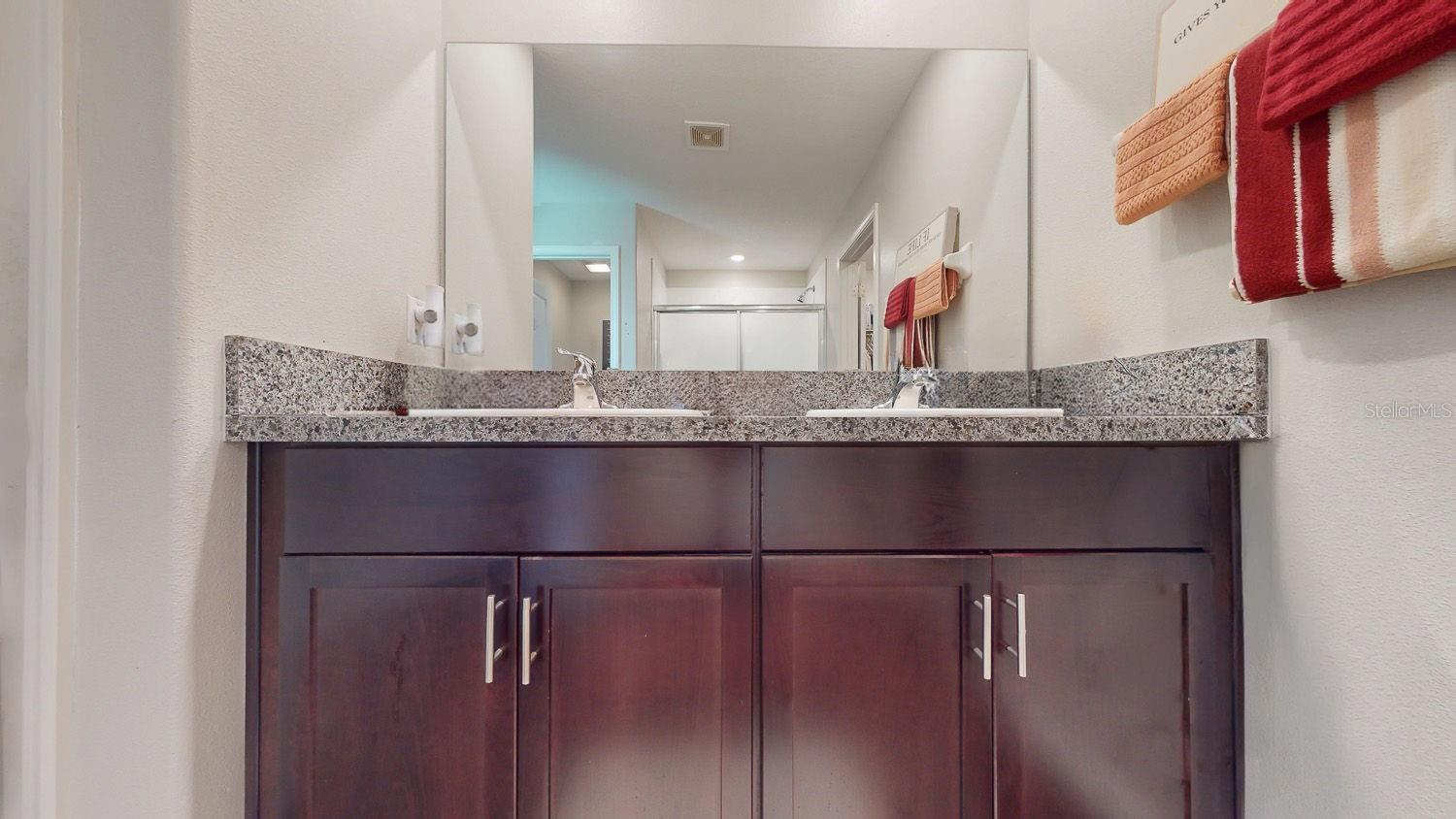 10211 WHITE LINEN AVE — photo 7