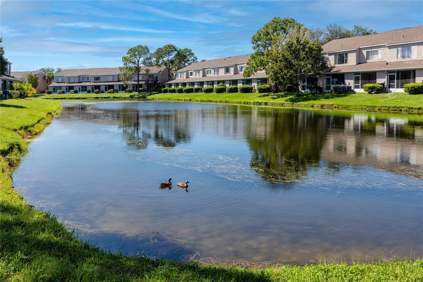 6229 BAYSIDE KEY DR — photo 43
