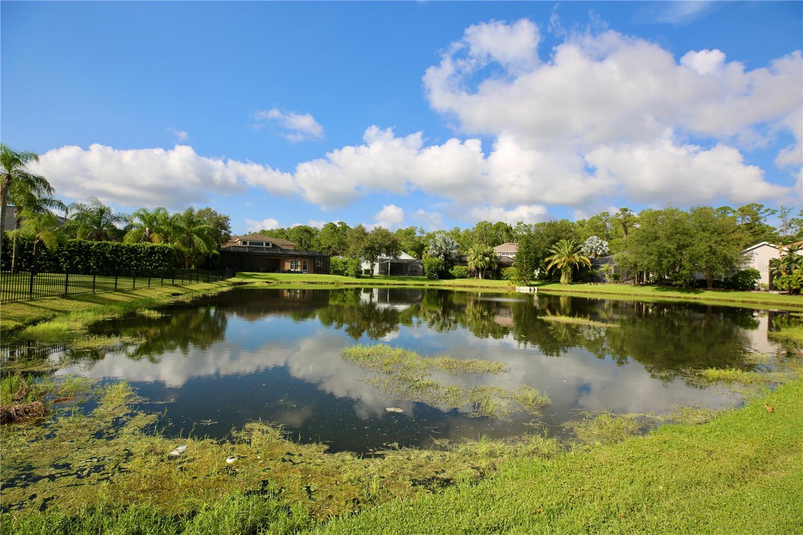 14824 TUDOR CHASE DR — photo 10