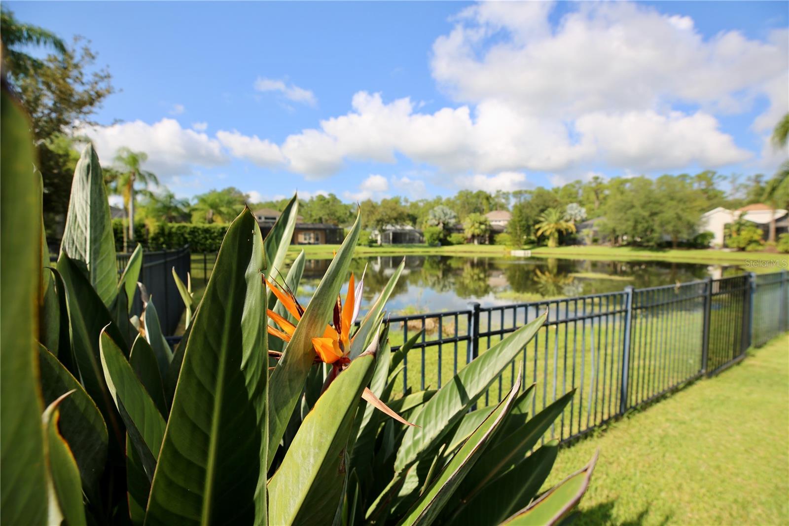 14824 TUDOR CHASE DR — photo 68