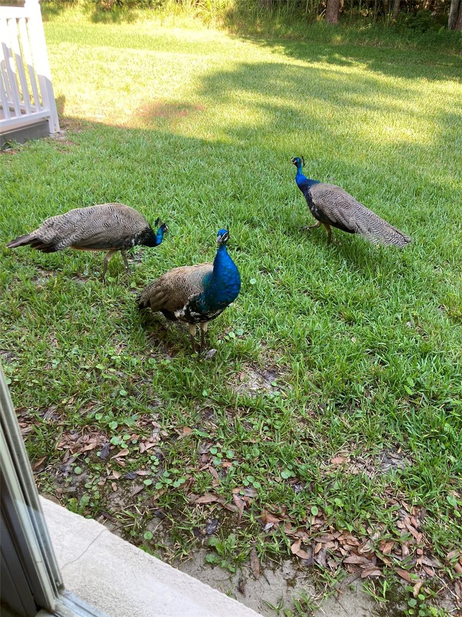 3490 TEALWOOD CIR — photo 40