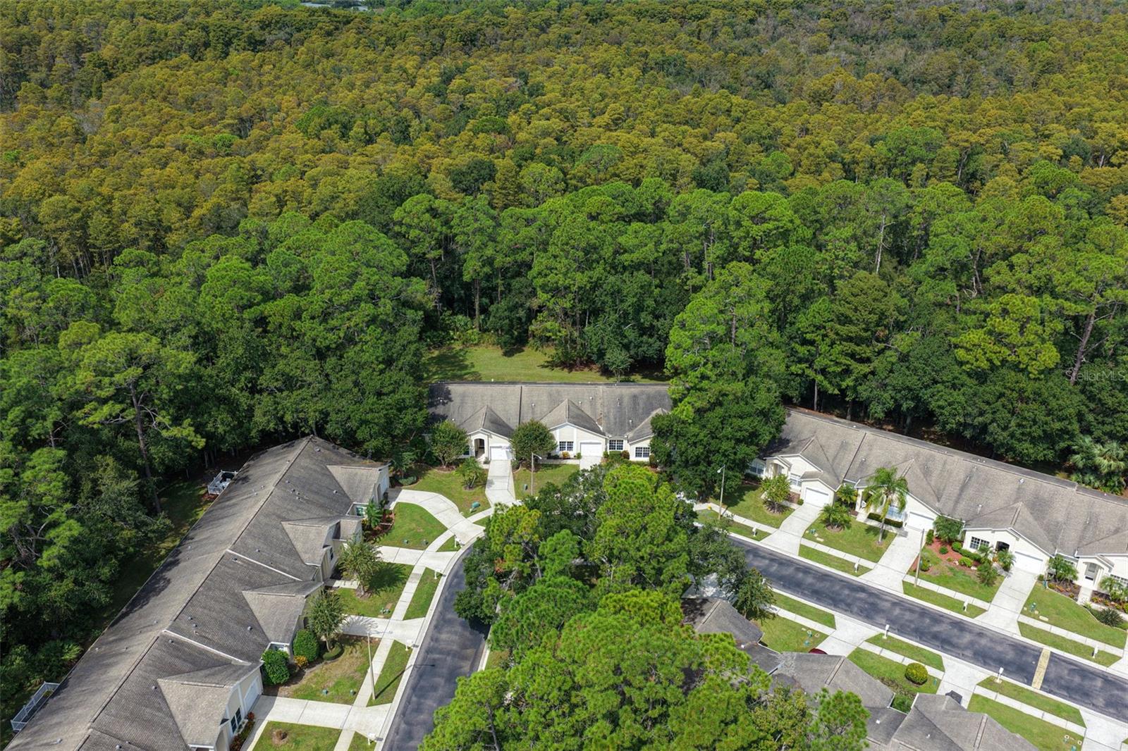 3490 TEALWOOD CIR — photo 30