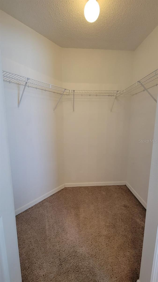 30911 MIDTOWN CT — photo 15