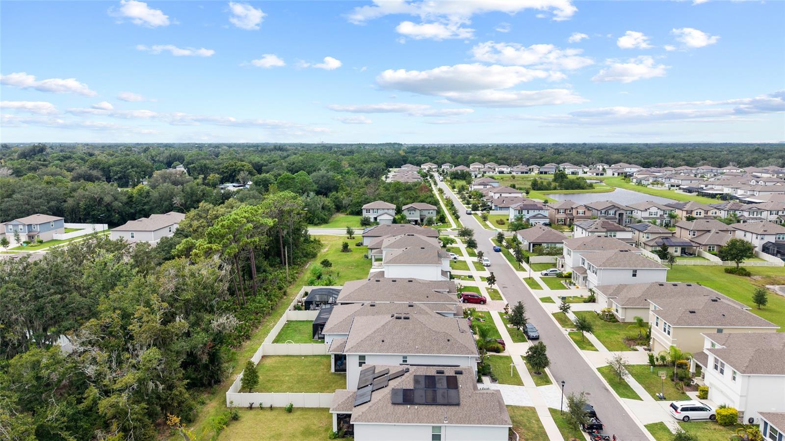 13071 BROOKSIDE MOSS DR — photo 82