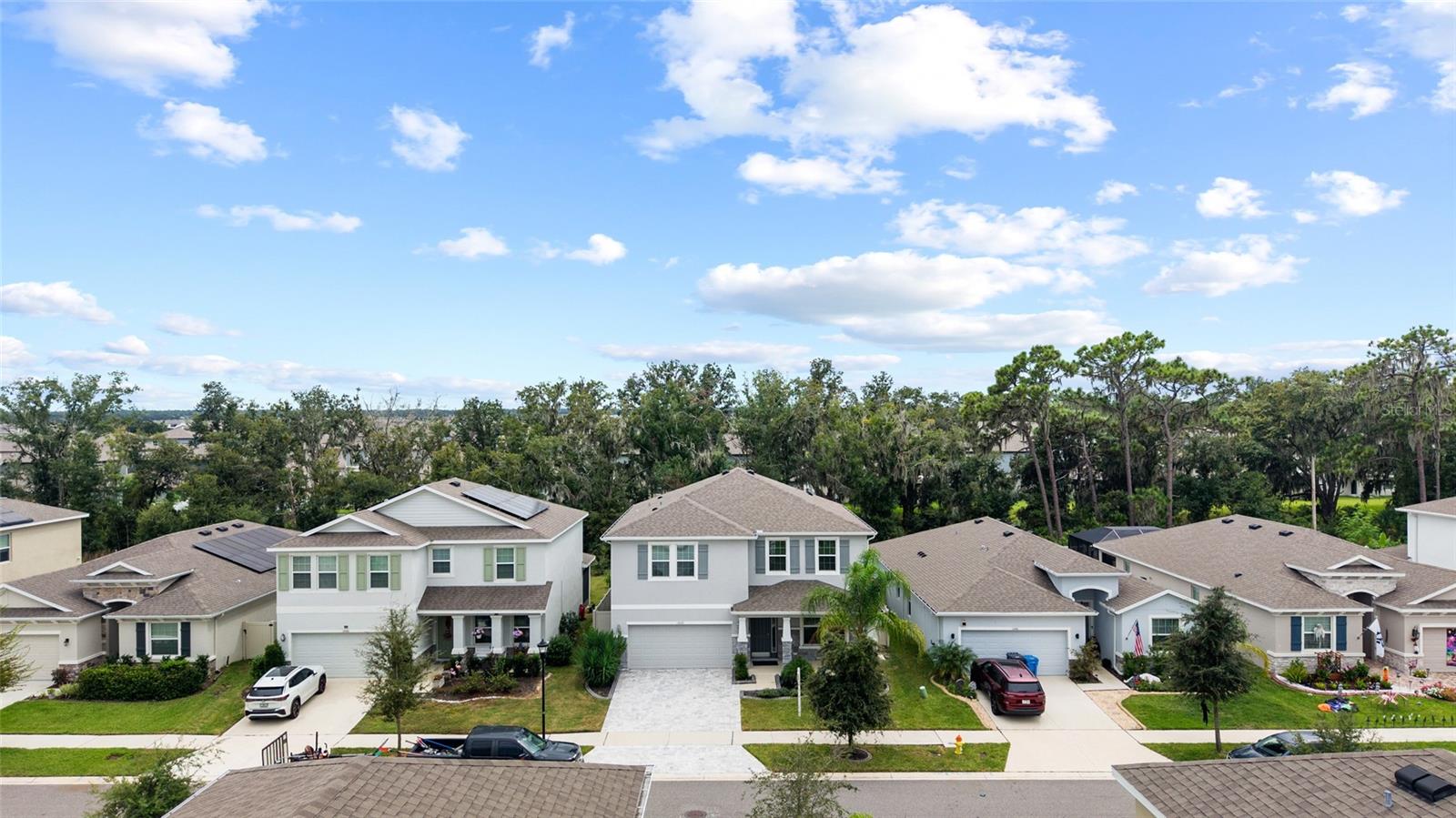 13071 BROOKSIDE MOSS DR — photo 71