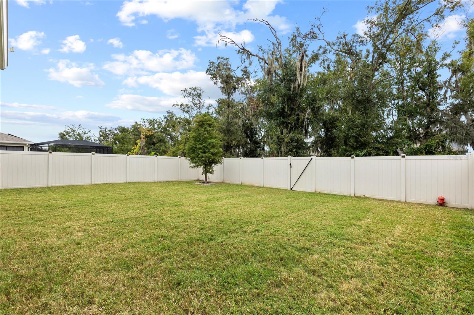 13071 BROOKSIDE MOSS DR — photo 68