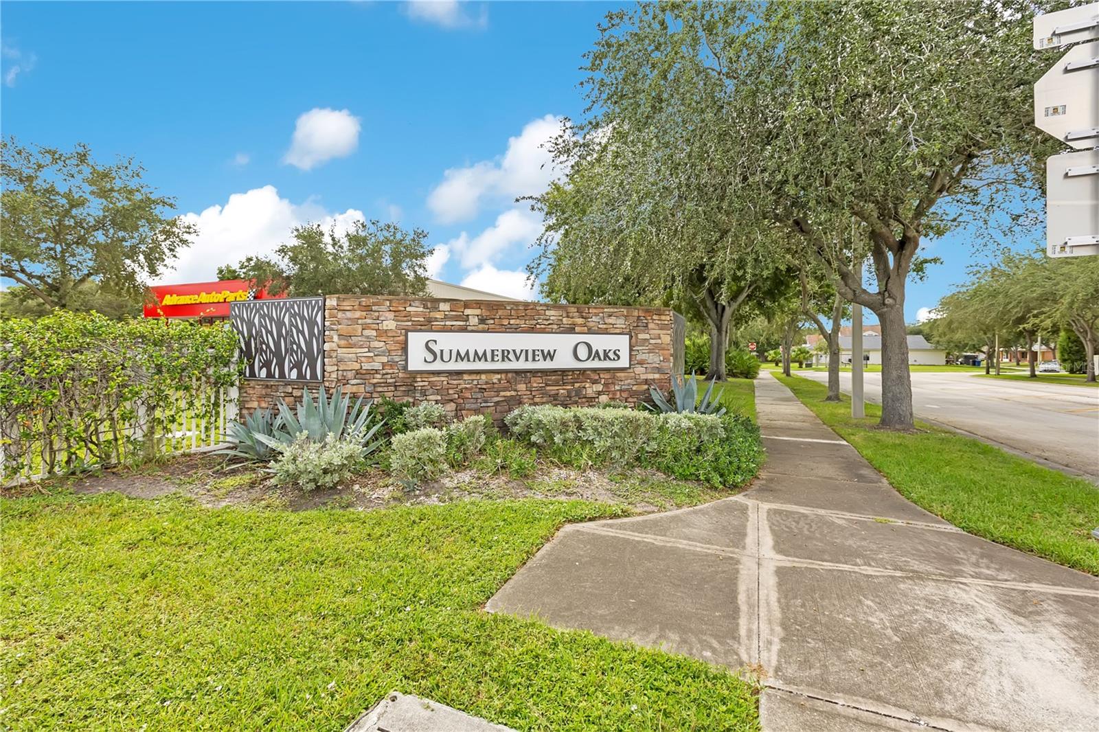 10332 SUMMERVIEW CIR — photo 26