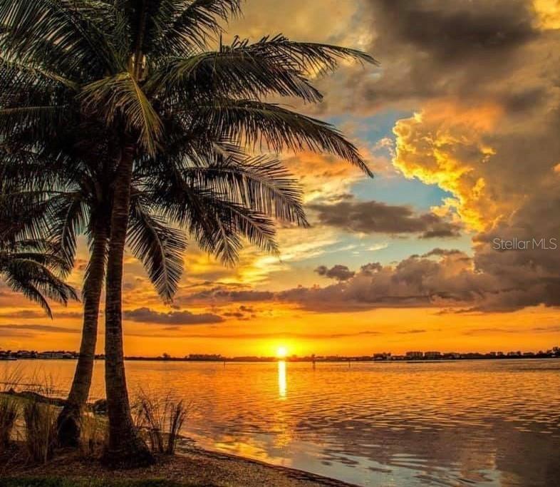 5217 81ST ST N #14 — photo 15