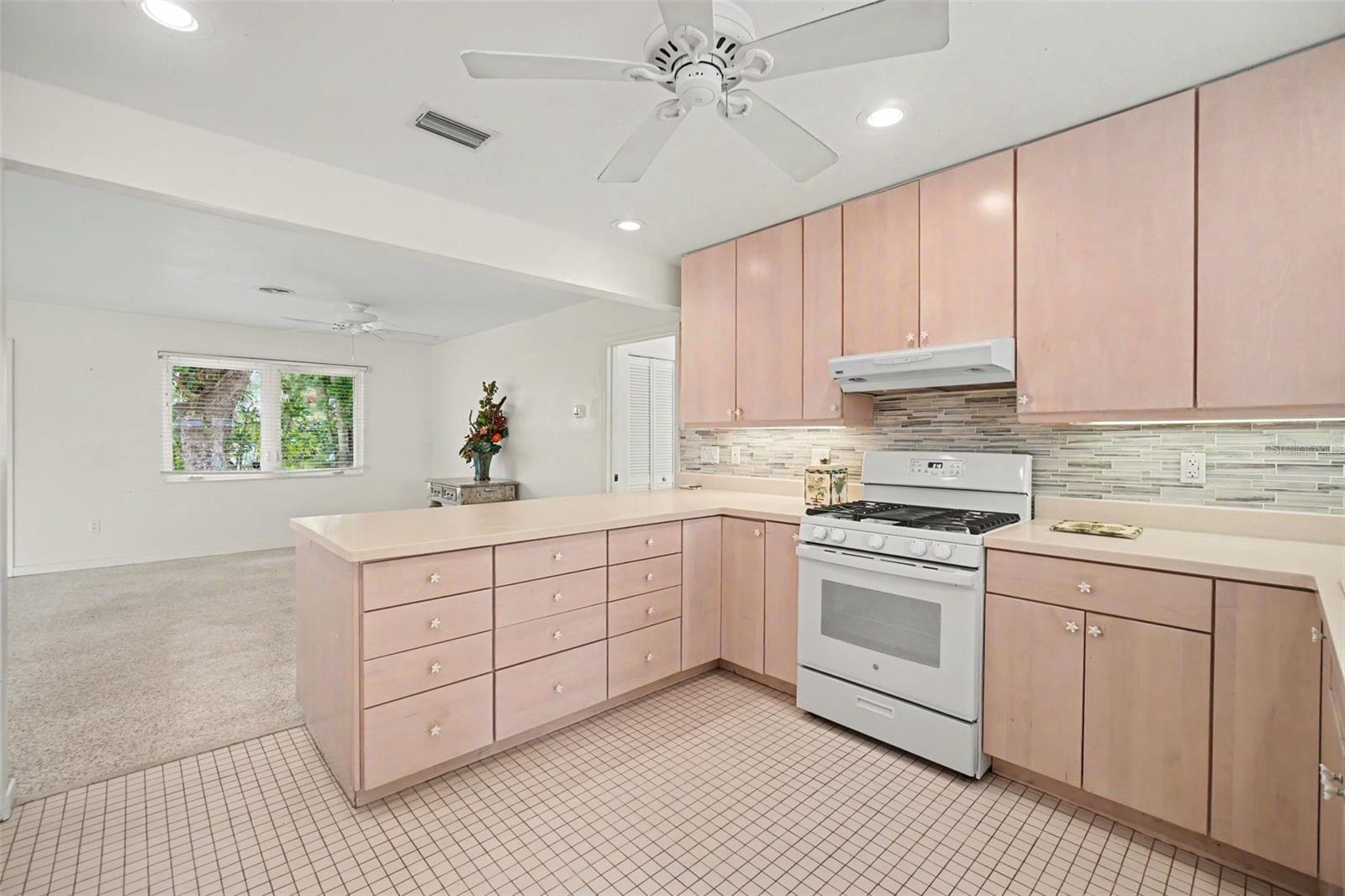 528 RALPH ST — photo 17