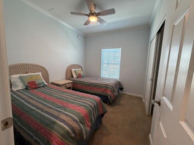 612 CAREFREE — photo 16