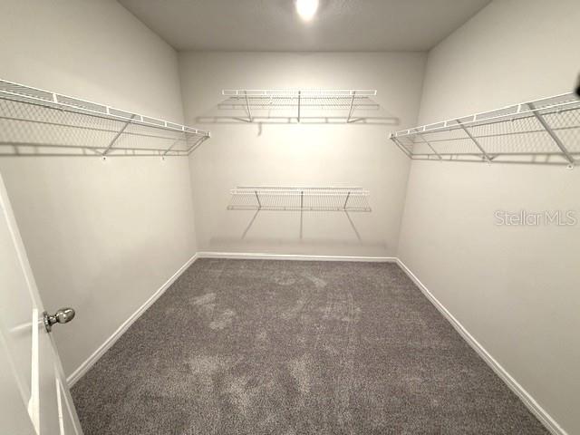 11523 MIDDLE FORK WAY — photo 9