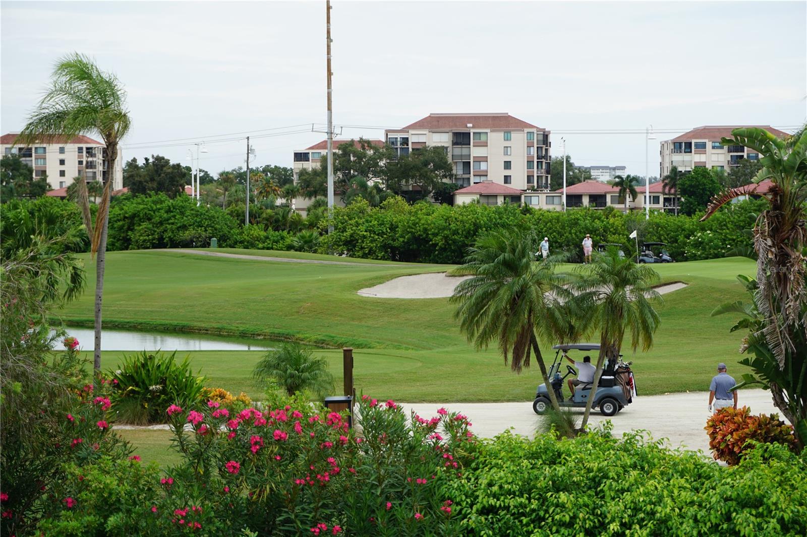 6011 BAHIA DEL MAR BLVD #255 — photo 24