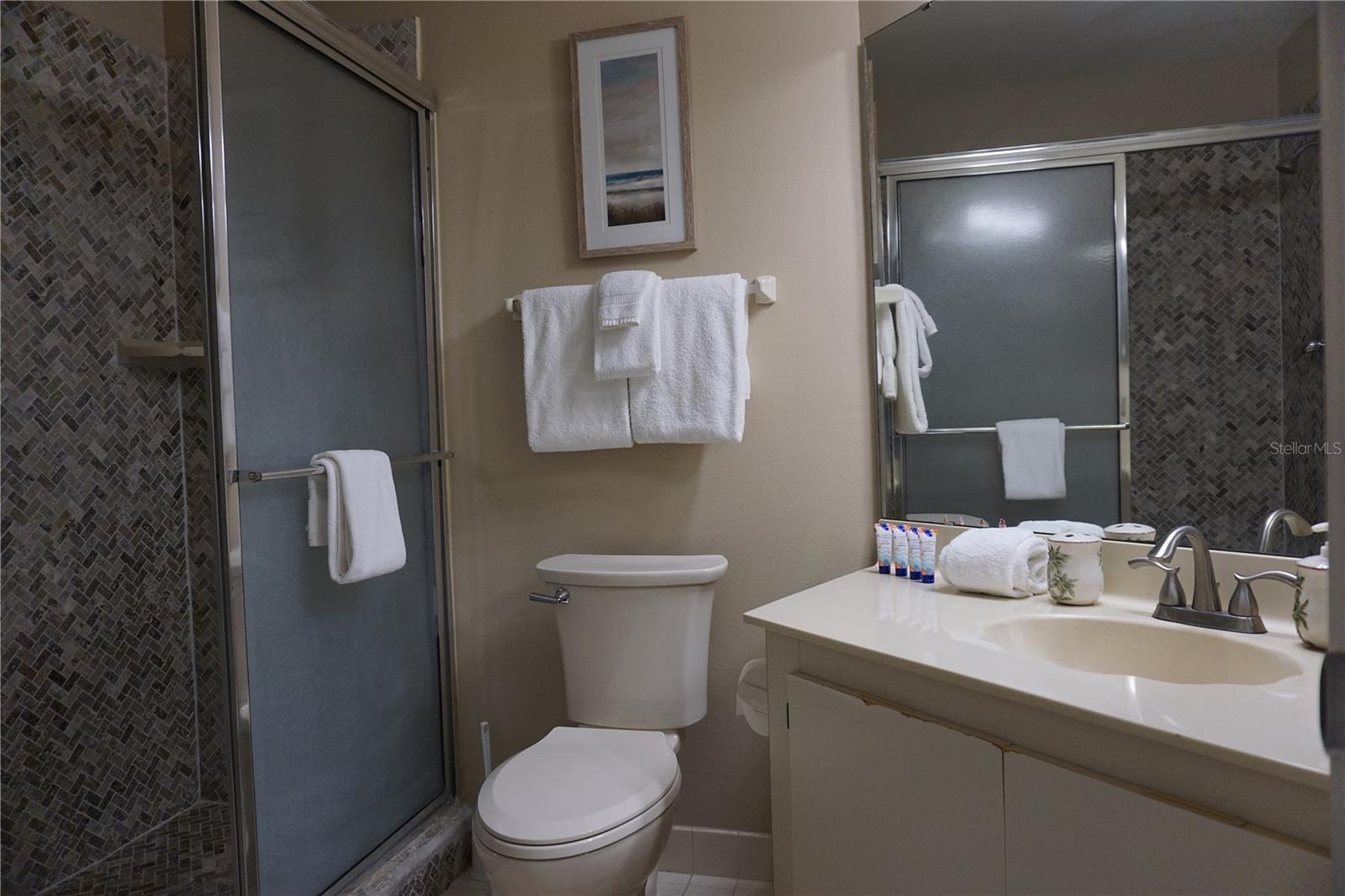 6011 BAHIA DEL MAR BLVD #255 — photo 19
