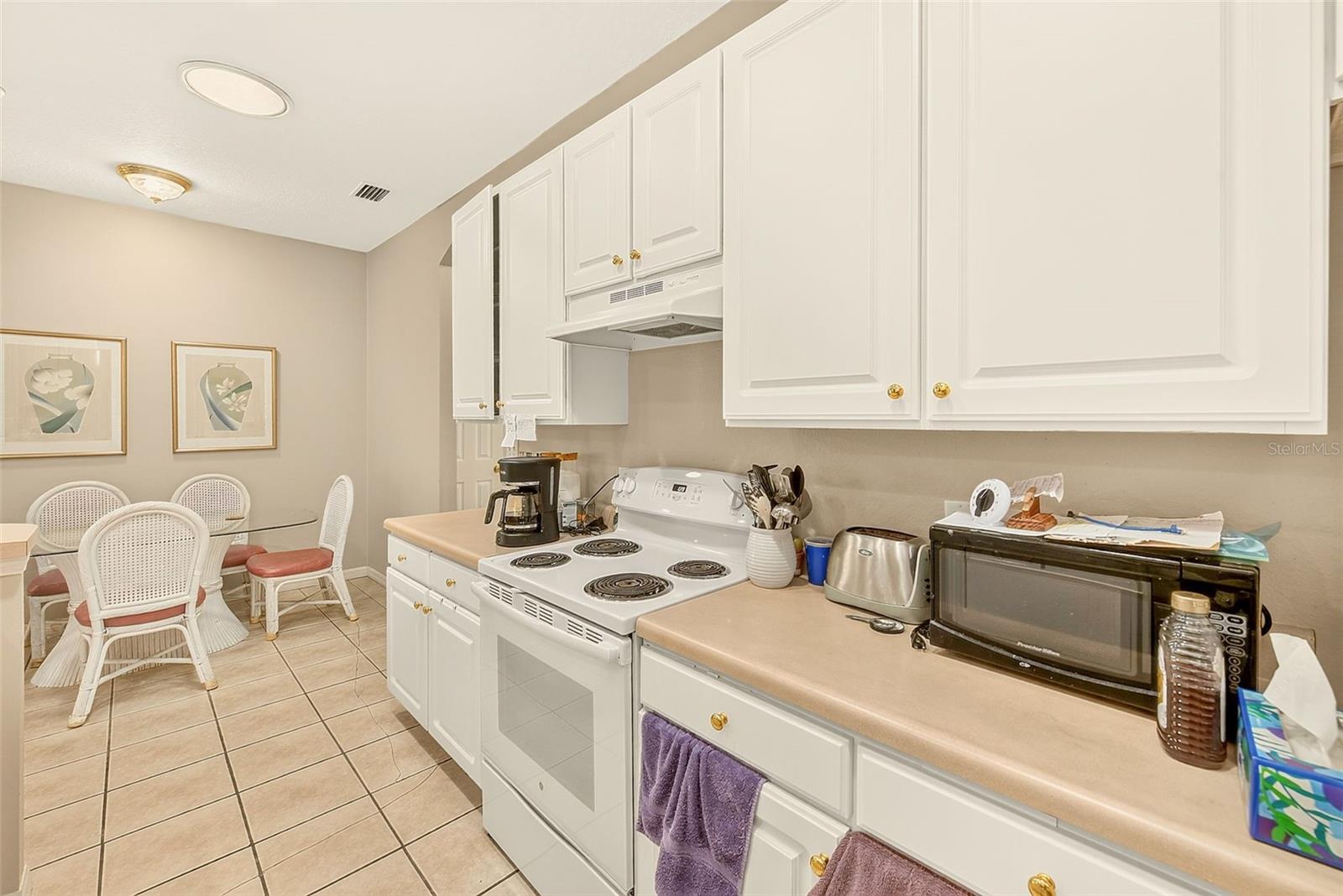 8634 ALEXANDRA ARBOR LN — photo 14
