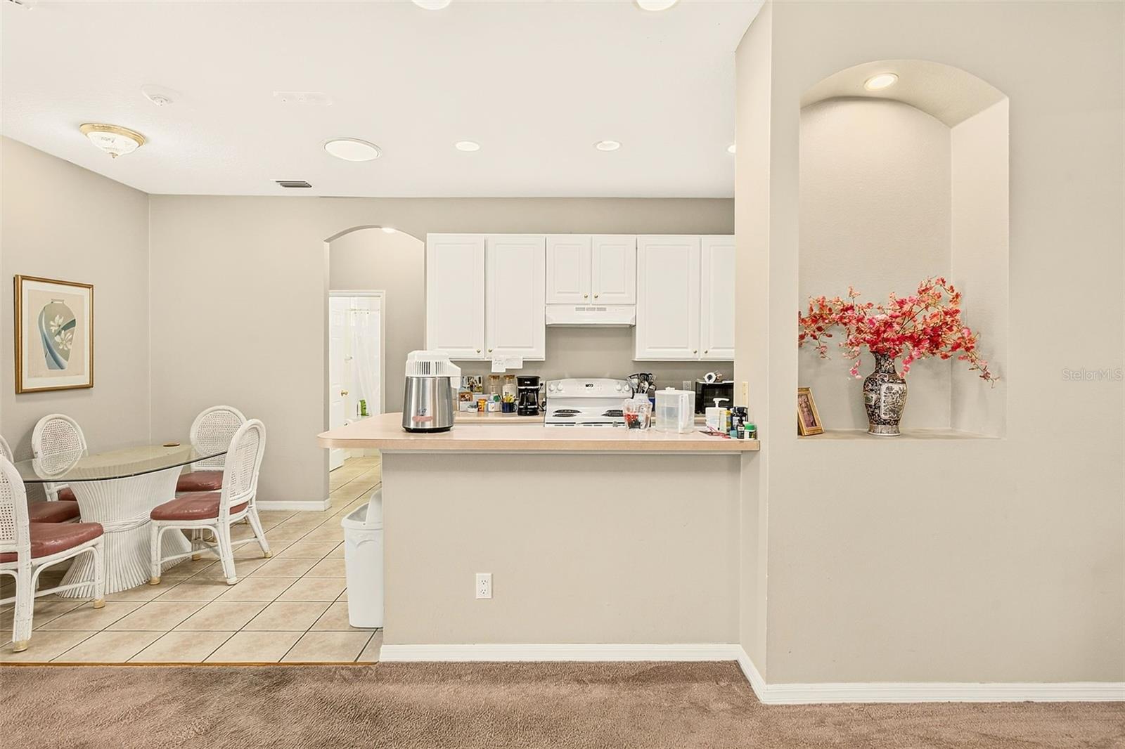 8634 ALEXANDRA ARBOR LN — photo 16