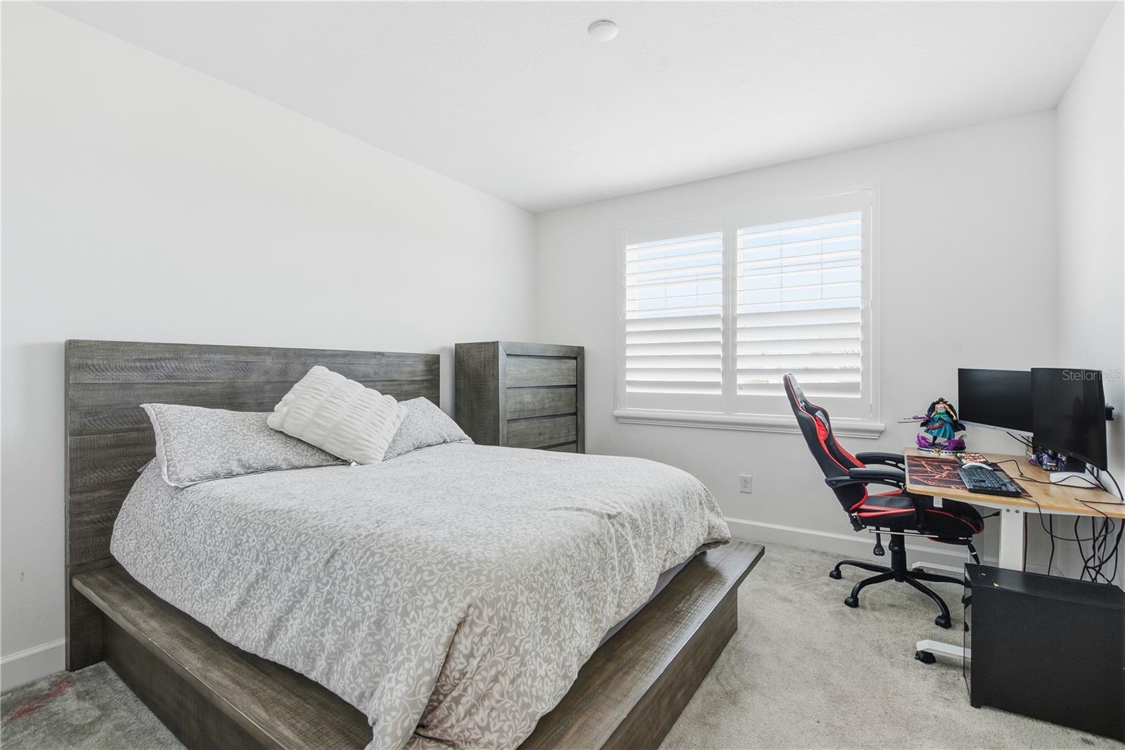 32604 TREE OF LIFE AVE — photo 36