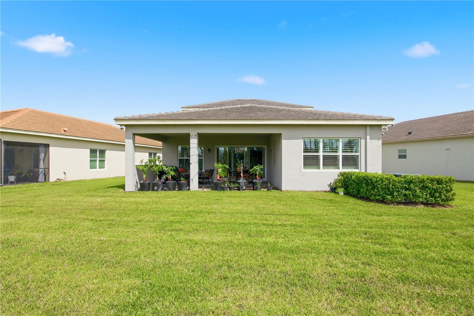32604 TREE OF LIFE AVE — photo 49