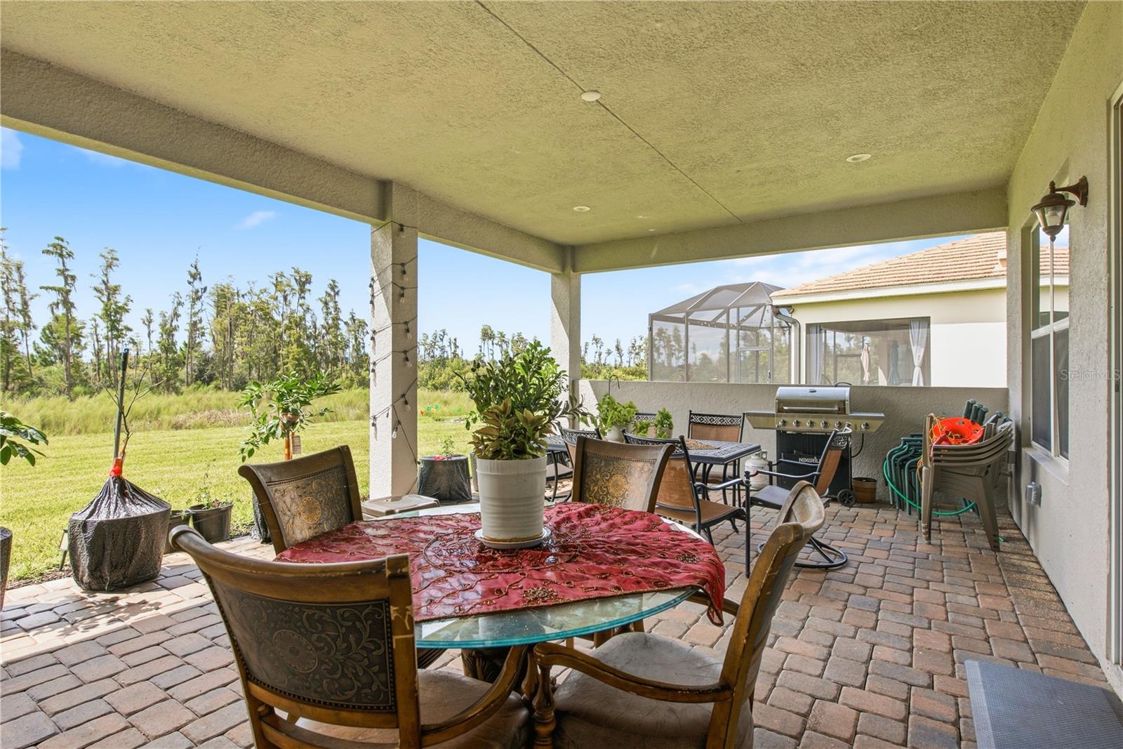 32604 TREE OF LIFE AVE — photo 46