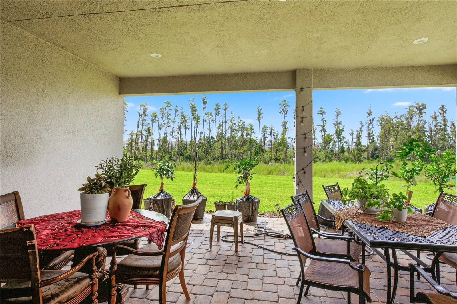 32604 TREE OF LIFE AVE — photo 45