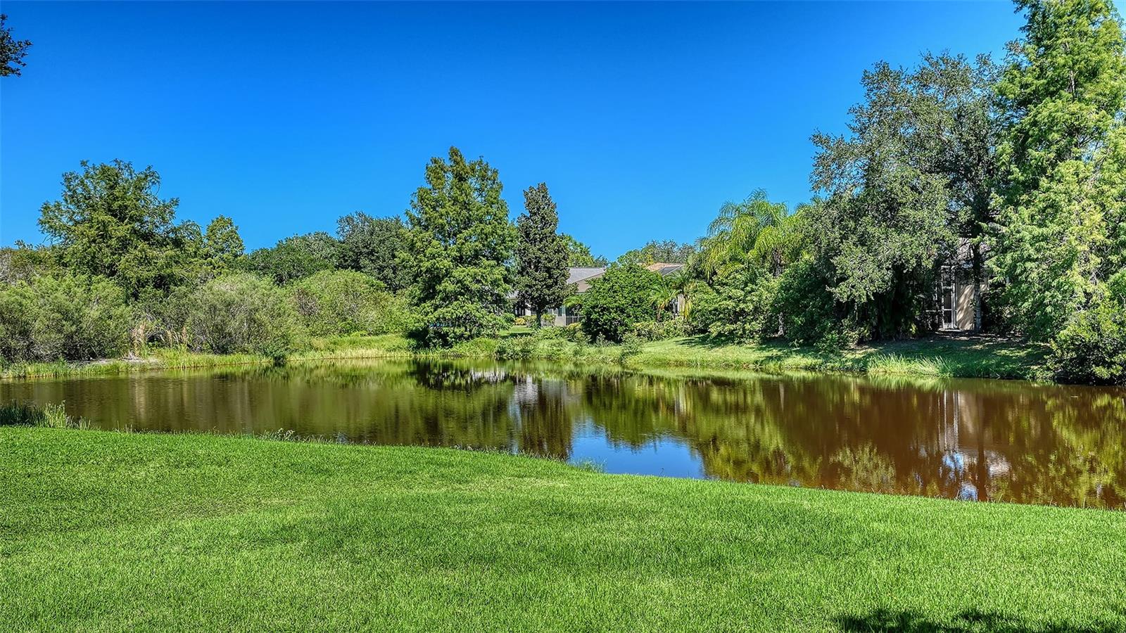 15213 BLUE FISH CIR — photo 29