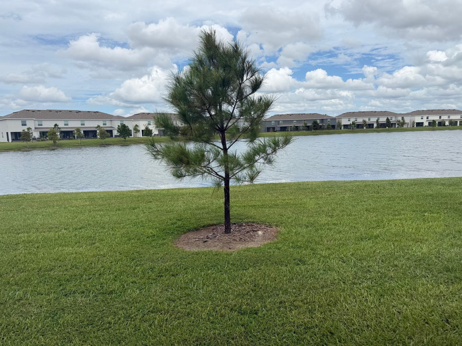 495 MANGROVE SHADE CIR — photo 31